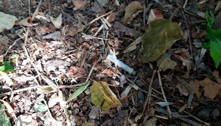 Жителите на блок 209 са принудени да живеят с различни неприятни гледки и неприятни миризми