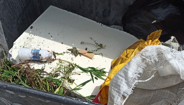 "Майсторът" отнесъл глоба от 300 лева