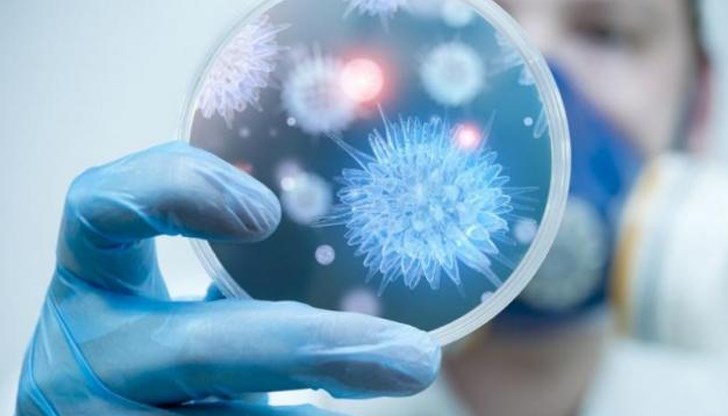 Предупреждението направи Световната организация за здраве на животните