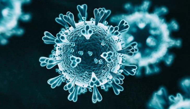 Това е с 36 потвърдени случая повече спрямо вчера