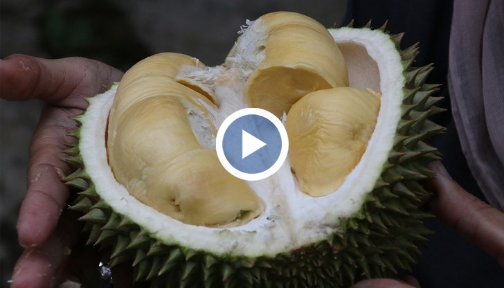 „Кралят на плодовете“ със сигурност не е по вкуса на всеки