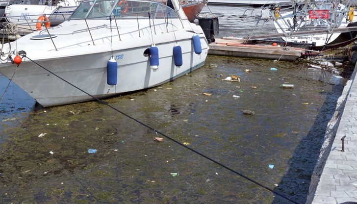 Варненската туристическа камара излезе днес с официален призив да не се шуми около замърсяването на местното езеро Варненската туристическа камара излезе днес с официален призив да не се шуми около замърсяването на местното езеро