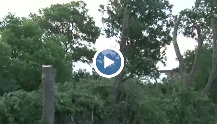 Весела Нейнски е заснела кадри на посегателството