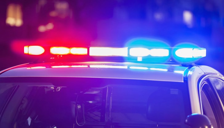 Мрежата е предлагала протекция на около 350 публични домове, 250 студия и 300 незаконни казина в Атика Мрежата е предлагала протекция на около 350 публични домове, 250 студия и 300 незаконни казина в Атика