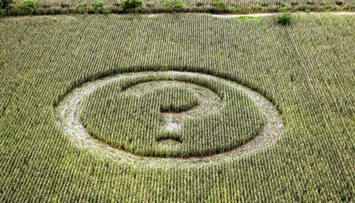 Регистрираната средна цена на нивите в област Русе през 2019 г. е над средната цена на тази категория земи за страната