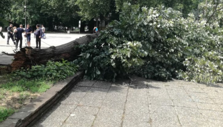 Инцидентът стана малко преди 12 часа