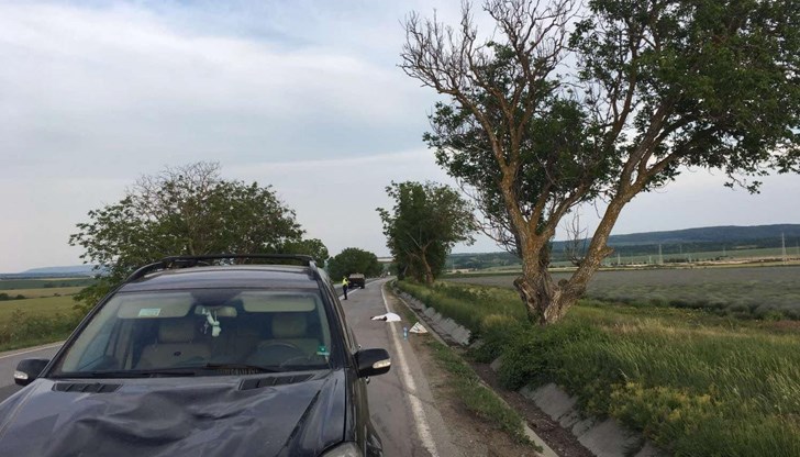 Марин Тодоров не могъл да избегне мъжа, който пресичал шосето близо до Струйно