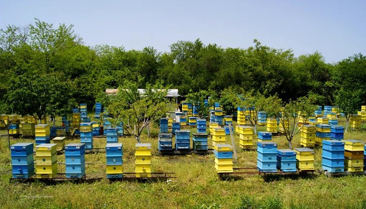 Служители от РУ – Ветово разследват посегателството от неизвестен извършител / снимката е илюстративна / Служители от РУ – Ветово разследват посегателството от неизвестен извършител / снимката е илюстративна /