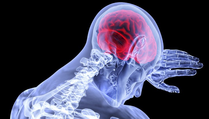 Досега бе мистерия как мозъкът реагира на взаимовръзките ни с другите