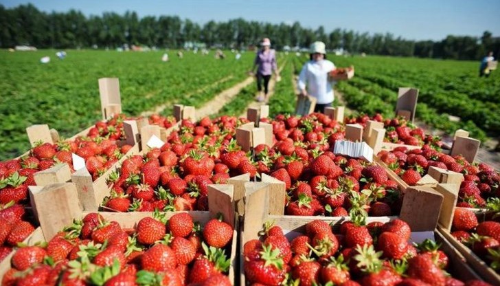 Те бяха въведени заради епидемията от коронавируса