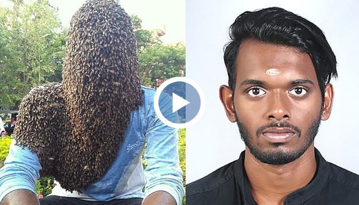 Индийският пчелар се доверява на насекомите