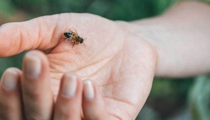 32-годишната жена е получила алергичен шок, починала е на място, преди да дойде екип на Спешна помощ