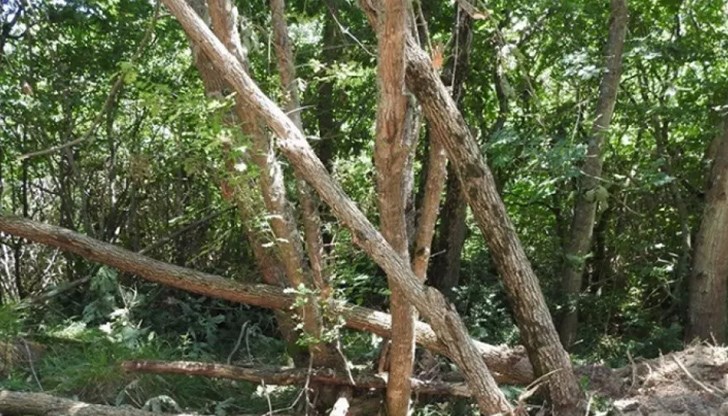 Загиналият е от село Долно Осеново