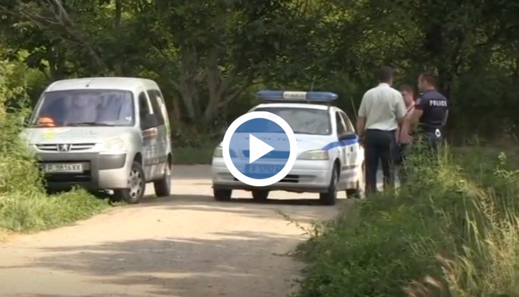 Животните са в добро състояние, хранени са, гледани са, не проявяват агресия, заяви д-р Николай Ненов от БАБХ-Русе