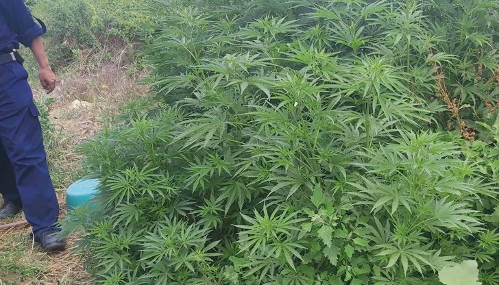 Деветима са с повдигнати обвинения