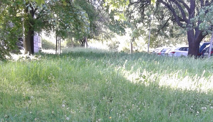 Това е в квартал "Здравец"