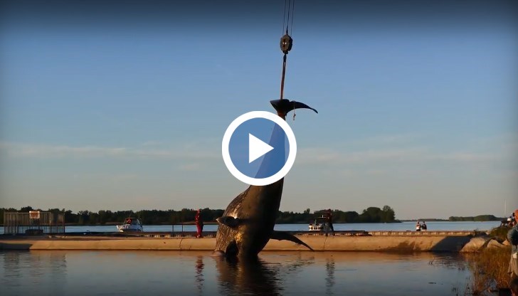 Не се знае причината за гибелта на женския екземляр