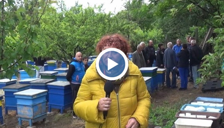 Разследване на Валя Ахчиева показва как тровят пчелите, земята ни и хората, под чадъра на властите!