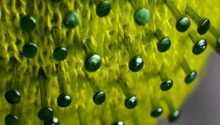 Общо за страната новозаразените са 105 Общо за страната новозаразените са 105