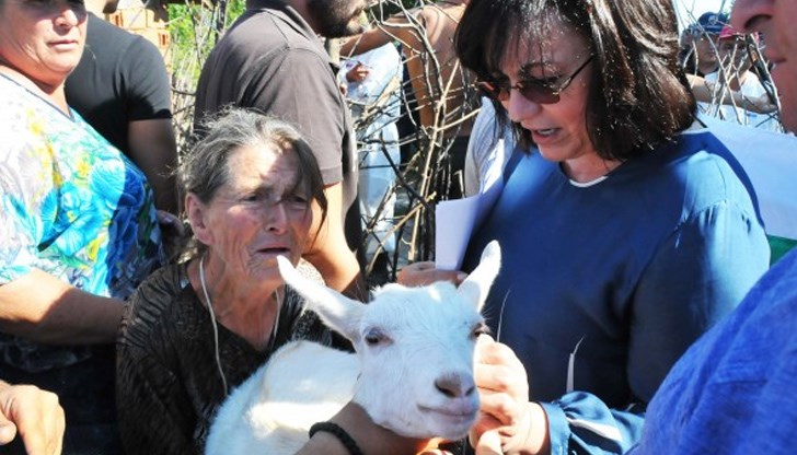 Но виновниците за избитите стада в Странджа трябва да понесат своята отговорност