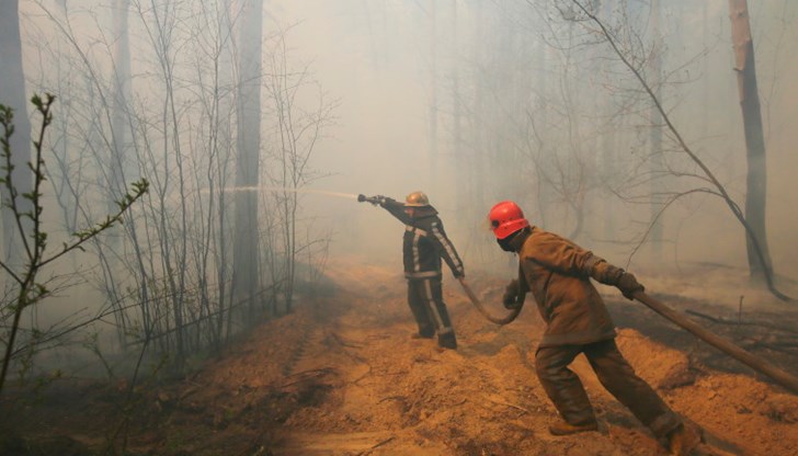 Огънят е избухнал в неделя вечерта, горят около 3 хектара гори