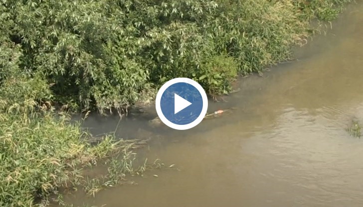 Изливането на води от производства в района продължава вече години наред