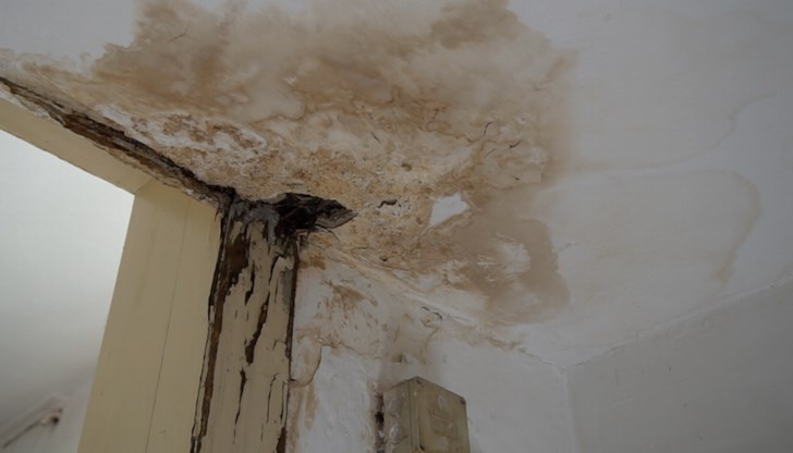 Българка разказва за невъобразими условия в най-голямото германско месопреработвателно предприятие Българка разказва за невъобразими условия в най-голямото германско месопреработвателно предприятие