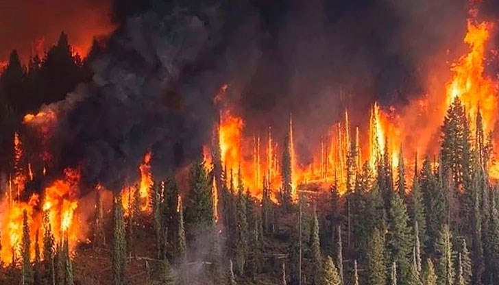 Пламъците са обхванали площ от 1,15 милиона хектара (2,85 милиона акра)