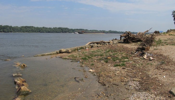По повод Международния ден на река Дунав екипът на СНЦ "Дуросторум-Дръстър-Силистра" заедно с доброволци ще почисти участък от крайбрежната зона на реката - от пристанището до Стария дъб в Дунавския парк на Силистра