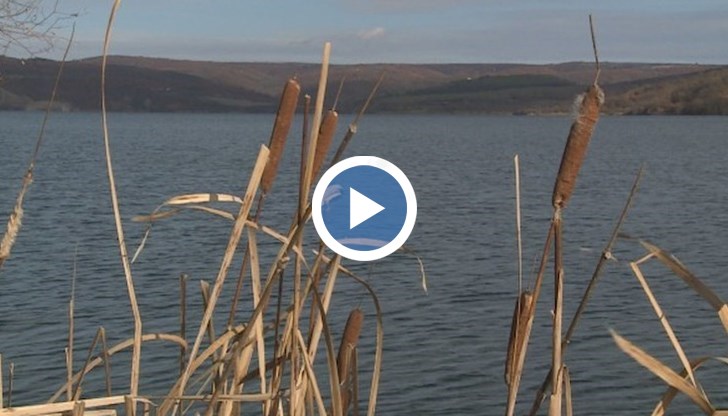 От кризата бяха засегнати около 100 хиляди домакинства