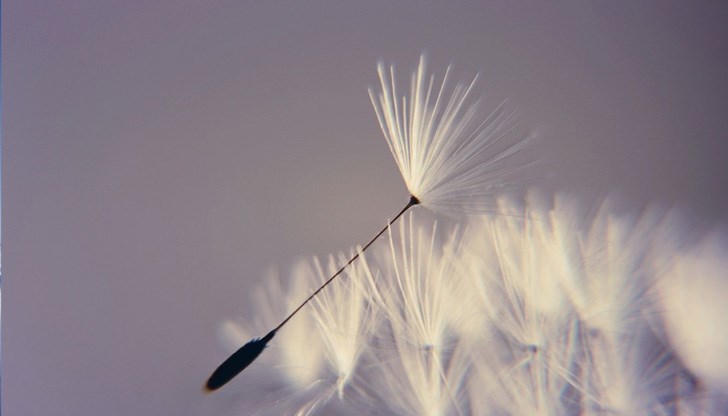 Енергията на думите през този лунен ден е много силна