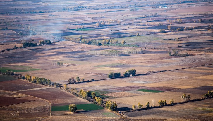 В информационната мрежа са включени Националната агенция по приходите (НАП) и социалните служби В информационната мрежа са включени Националната агенция по приходите (НАП) и социалните служби