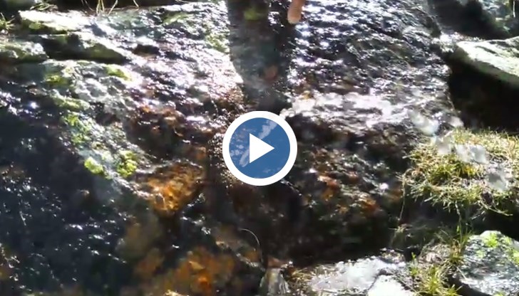 Освен, че е изключително чиста, тя става и за пиене