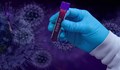 Осем нови случая на коронавирус в Русе