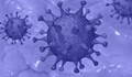 115 нови случая на коронавирус у нас