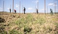 Зеленчукова ферма с български работници е новото огнище на коронавирус в Бавария