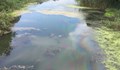 Отровите във водите на Марица дошли от „Неохим“ АД