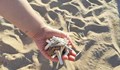 Мизерия: Садим си фасове по плажа!