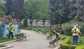 Пет екипа косят тревните пространства днес