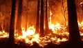 Над 280 декара гори са изгорели в област Русе от началото на годината