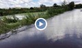 Семейство с дете се къпало в отровните води на Марица