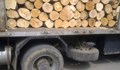 Спипаха бракониер да пренася дърва с бракуван автомобил