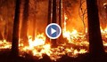 Половин България с риск от пожари
