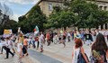 Дванайста вечер русенци протестират "Мутри, вън!"