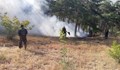 Над 100 души се борят с пожар край село Дълбоки