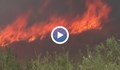 Голям пожар пламна в Хасковско