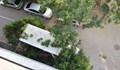 Микробус събори дърво на улица "Зайчар"