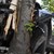 Кола се преобърна след удар в дърво на улица "Николаевска"