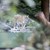 Тигър уби пазач в зоопарк в Швейцария