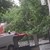 Дърво премаза 3 коли в Пловдив